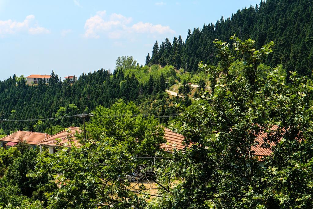 Hotel Elatofilito Athamanio 외부 사진