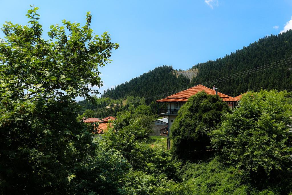Hotel Elatofilito Athamanio 외부 사진